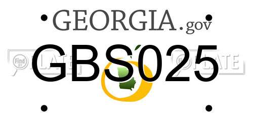 GBS025 Georgia License Plate