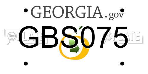 GBS075 Georgia License Plate