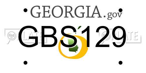 GBS129 Georgia License Plate
