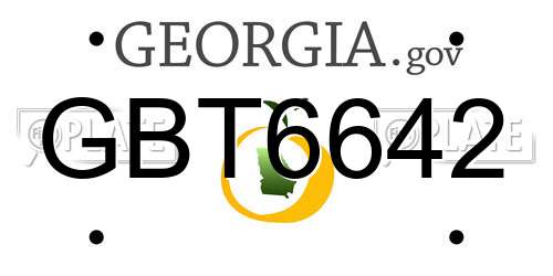 GBT6642 Georgia License Plate