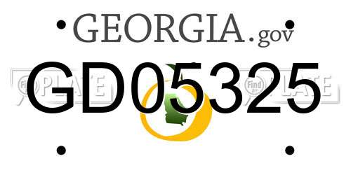 GD05325 Georgia License Plate