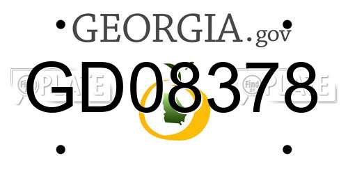 GD08378 Georgia License Plate