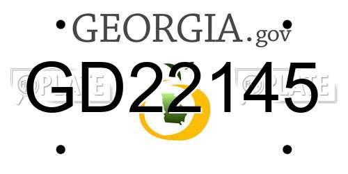 GD22145 Georgia License Plate