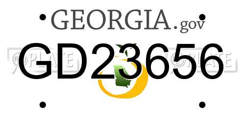 GD23656 Georgia License Plate