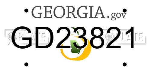 GD23821 Georgia License Plate