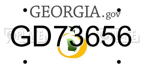 GD73656 Georgia License Plate