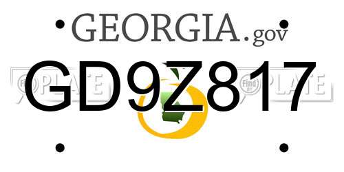 GD9Z817 Georgia License Plate