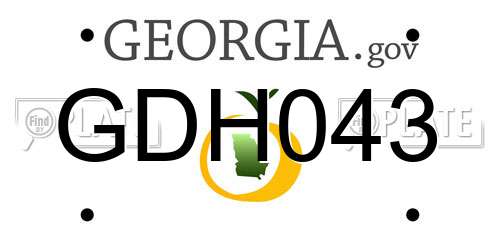 GDH043 Georgia License Plate