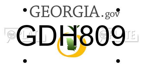 GDH809 Georgia License Plate