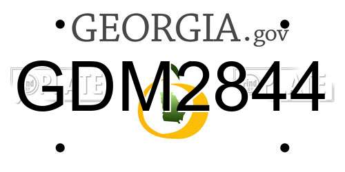 GDM2844 Georgia License Plate