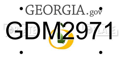 GDM2971 Georgia License Plate