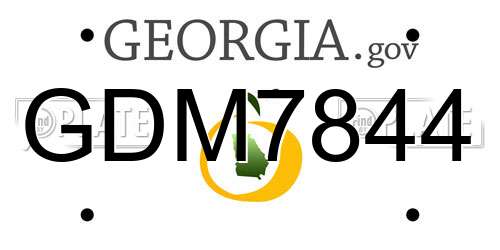 GDM7844 Georgia License Plate