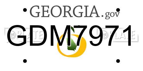 GDM7971 Georgia License Plate