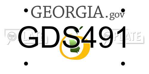 GDS491 Georgia License Plate