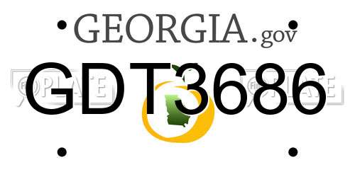 GDT3686 Georgia License Plate
