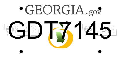 GDT7145 Georgia License Plate