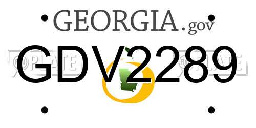 GDV2289 Georgia License Plate