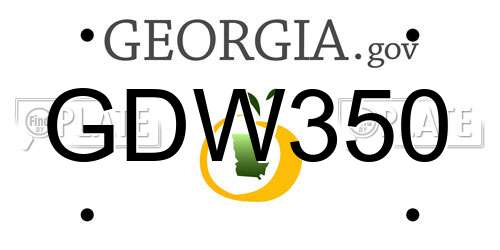 GDW350 Georgia License Plate