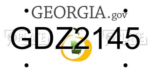 GDZ2145 Georgia License Plate