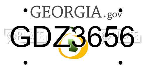 GDZ3656 Georgia License Plate