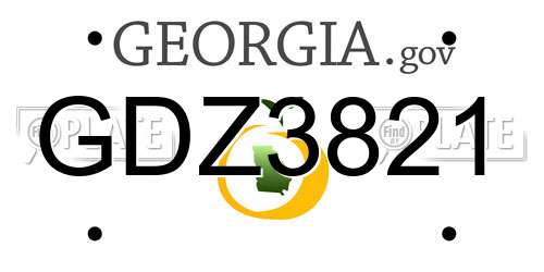 GDZ3821 Georgia License Plate