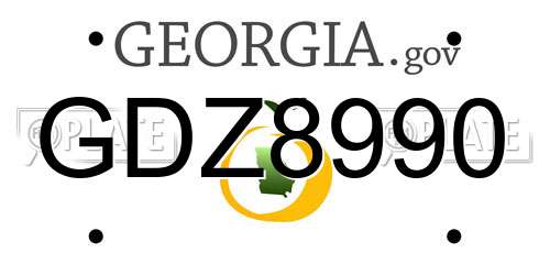 GDZ8990 Georgia License Plate