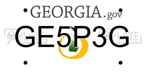GE5P3G Georgia License Plate