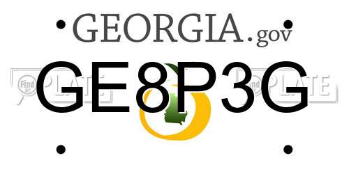 GE8P3G Georgia License Plate