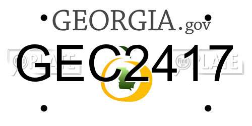 GEC2417 Georgia License Plate