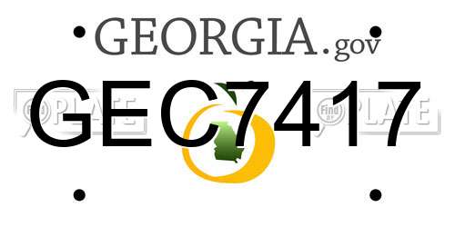 GEC7417 Georgia License Plate