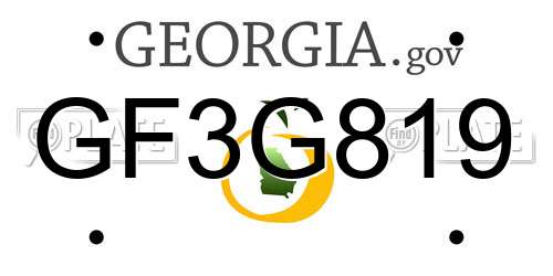 GF3G819 Georgia License Plate