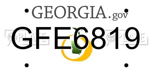 GFE6819 Georgia License Plate