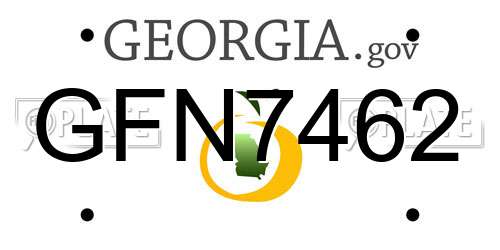 GFN7462 Georgia License Plate