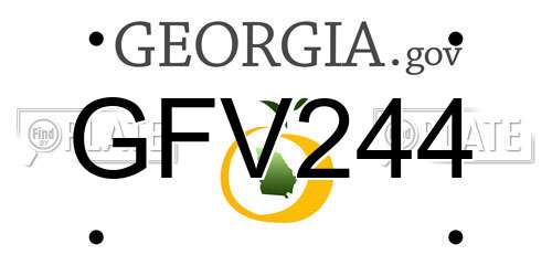 GFV244 Georgia License Plate