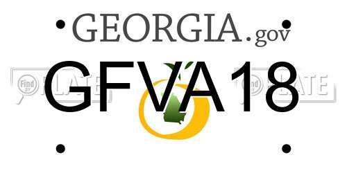 GFVA18 Georgia License Plate