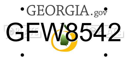 GFW8542 Georgia License Plate