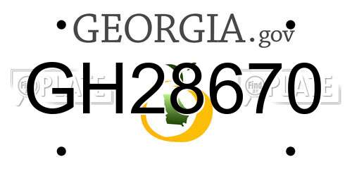 GH28670 Georgia License Plate