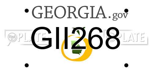 GII268 Georgia License Plate