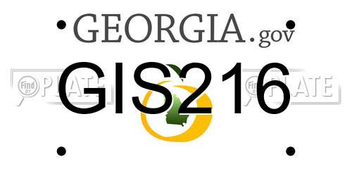 GIS216 Georgia License Plate