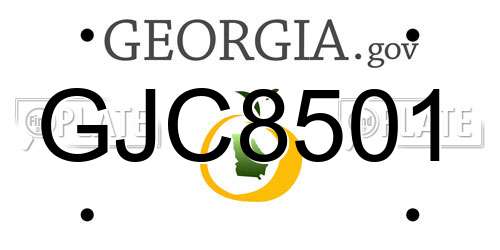 GJC8501 Georgia License Plate