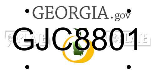 GJC8801 Georgia License Plate