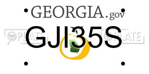 GJI35S Georgia License Plate