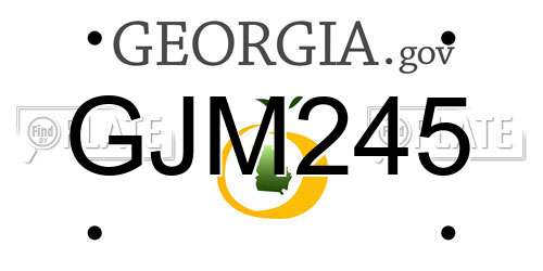 GJM245 Georgia License Plate