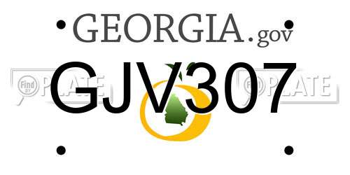 GJV307 Georgia License Plate
