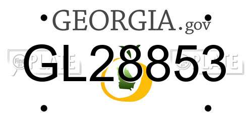 GL28853 Georgia License Plate