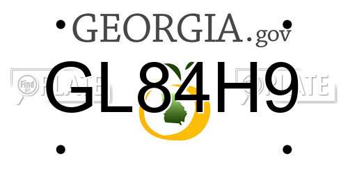 GL84H9 Georgia License Plate