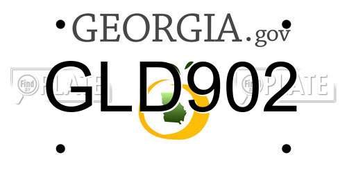 GLD902 Georgia License Plate