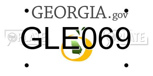 GLE069 Georgia License Plate