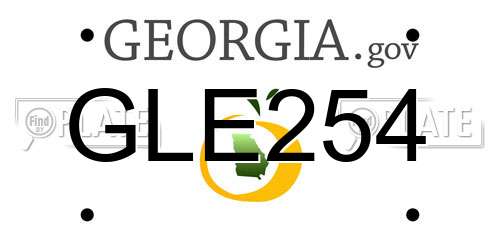 GLE254 Georgia License Plate