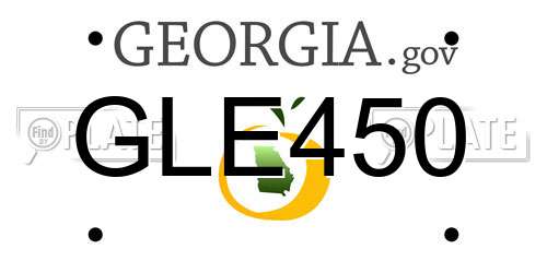 GLE450 Georgia License Plate